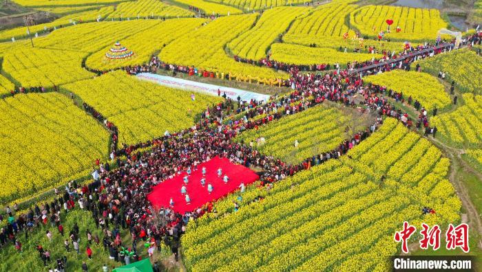图为江西万安县第五届油菜花节活动现场 邱哲 　摄