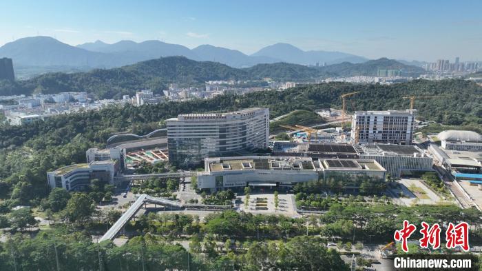中国医学科学院肿瘤医院深圳医院 钟慧红 摄