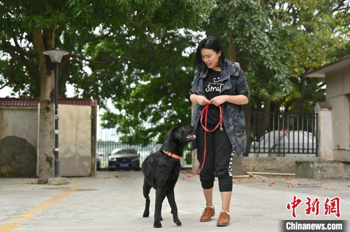 崔静宜与其训练犬“肉排”互动。　俞靖 摄