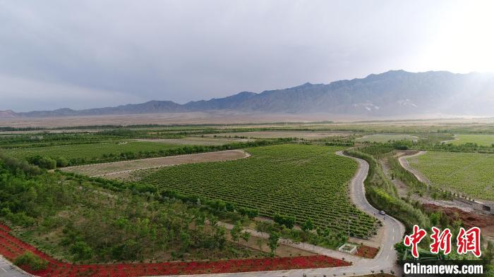 贺兰山东麓酿酒葡萄园。　银川市委宣传部供图