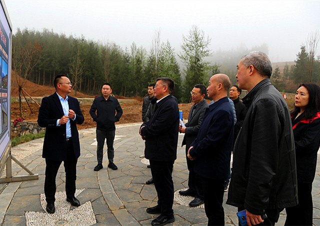 003 在新林镇茗新村调研高标准农田建设_副本.jpg