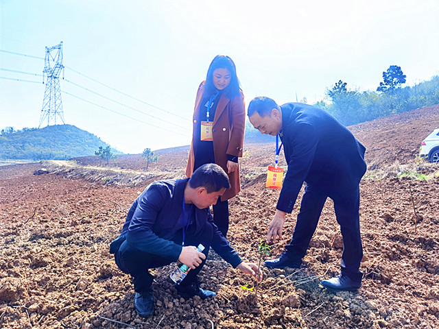 黄龙人大代表查看油茶栽植情况_副本.jpg