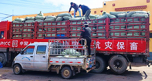 图片1_副本.jpg