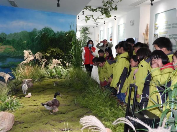 图片2_1681987518.jpg