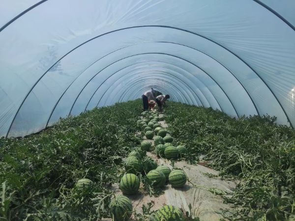 图片3_1683617362.jpg
