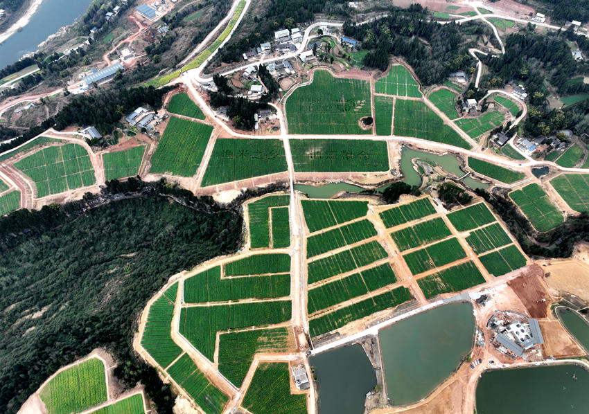 航拍四川省通江县广纳镇构花坪村改造后的高标准农田。通江县委宣传部供图