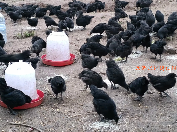 QQ截图20230603223109.png
