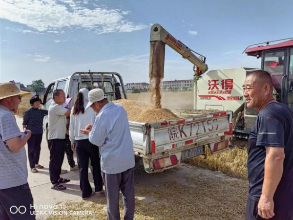 图片4_1685848631.jpg