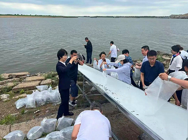 图片1_副本.jpg