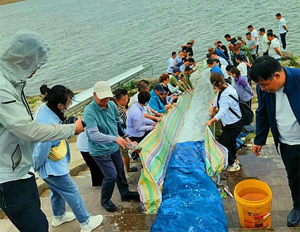 图片2_副本.jpg