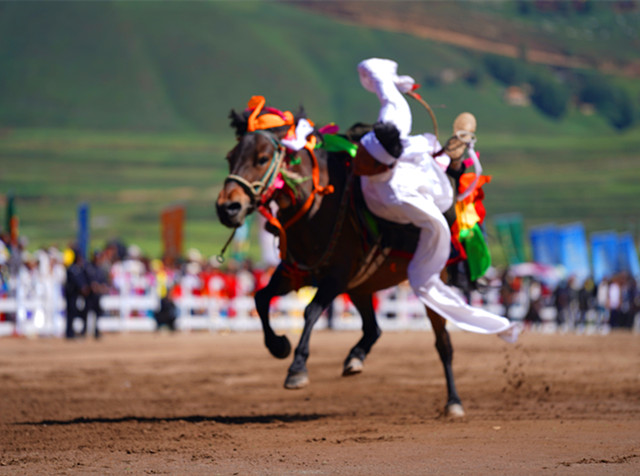 DSC07204_副本.jpg