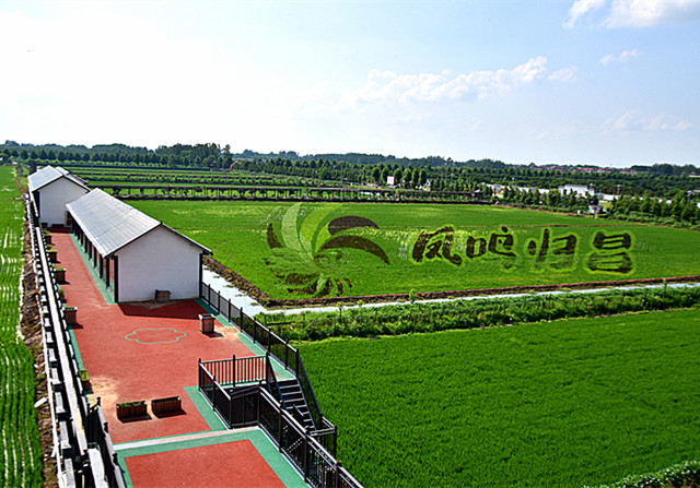 DSC_0264_副本.jpg