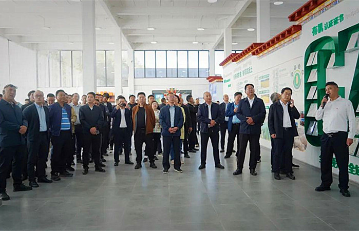 图片13_副本.jpg