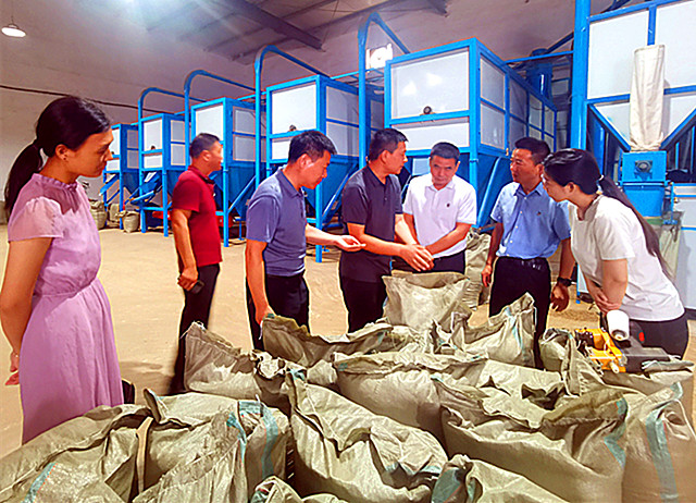 区人大在黄龙调研农业品牌建设1_副本.jpg