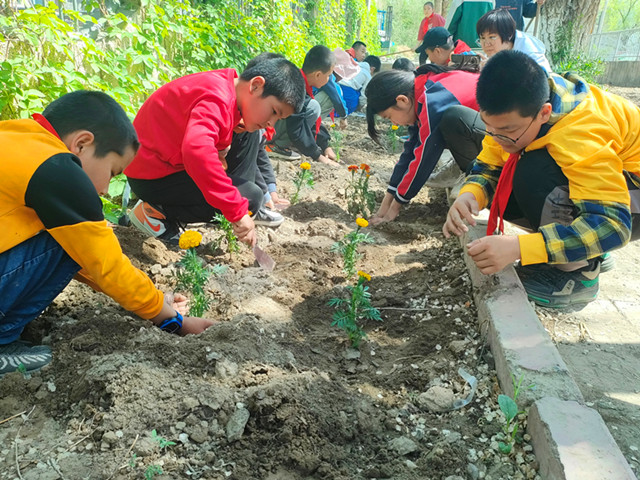 5.同学们齐心协力种花_副本.jpg