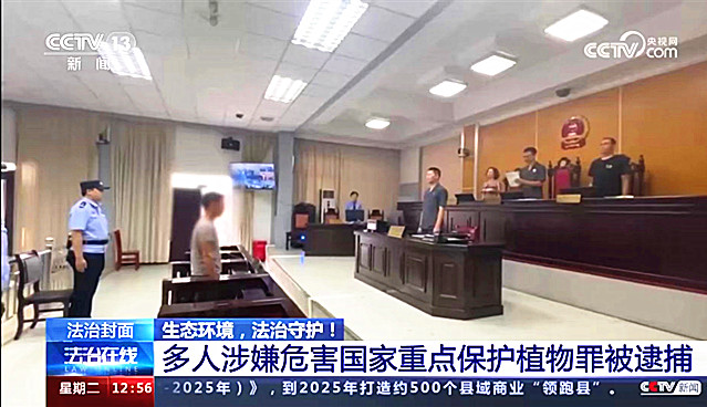 图片2_副本.jpg