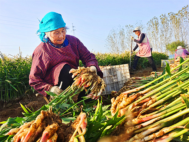 IMG_20231108_204324_副本.jpg