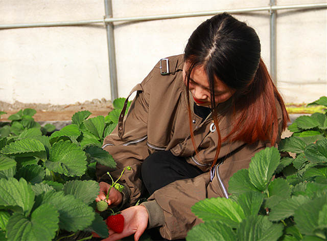 5BB65B36@1F52CC4A.E4536D65.jpg (1)_副本.jpg