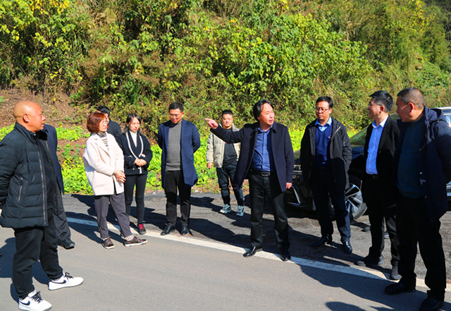 003 在沙坪镇岩月村调研视察公路提升改造、加宽硬化办理情况_副本.jpg