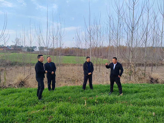 黄龙耕地流失整改2_副本.jpg