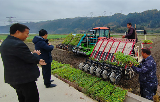 434163e750a3d82ede7af128814f19d_副本.jpg