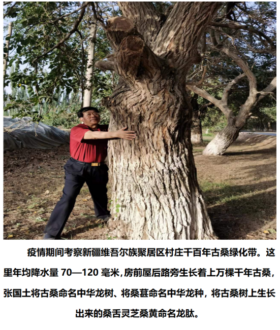 https://img.toumeiw.cn/upload/ajax/20240202/eef822d3b9a3770a6e0828616434d98d.png