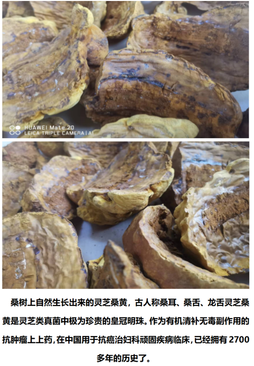 https://img.toumeiw.cn/upload/ajax/20240202/a7f19ce21f3608950aa50472fb12fa45.png
