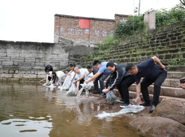 图片1_副本.jpg