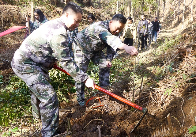 林业干部积极上山指导群众植树_副本.jpg