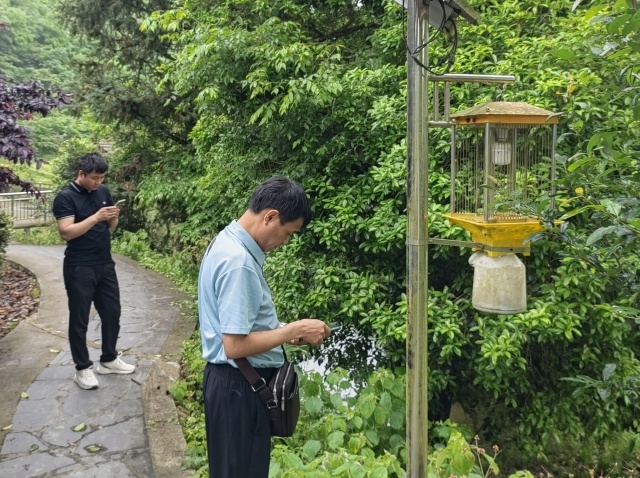 日常采集数据 (2)_副本.jpg