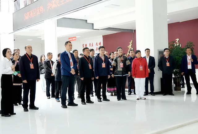 观摩团在龙形街道观看相关视频_副本.jpg