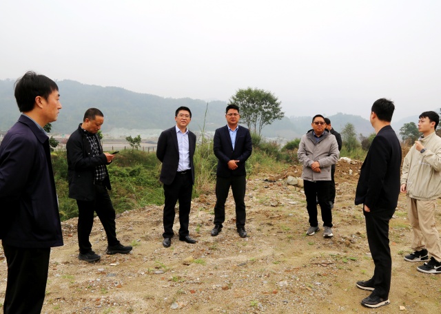 004 在五渡镇铜河村设施农业用地现场检查_副本.jpg
