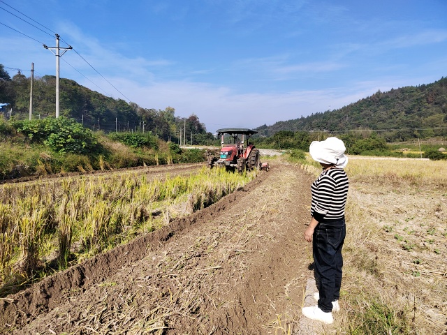 2024年11月11日，高屯街道高屯社区坝区开展机械化翻犁1，拍摄者：杨薇_副本.jpg