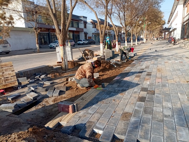 临泽县蓼泉镇抢工期抓紧度项目建设不停歇_副本.jpg