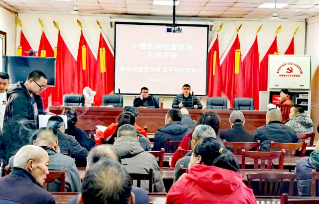 mmexport1732694816634_edit_56543077712127_副本.jpg