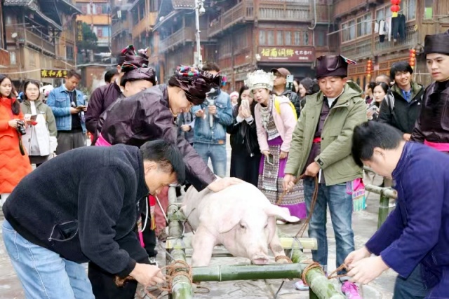 捆绑年猪_副本.jpg
