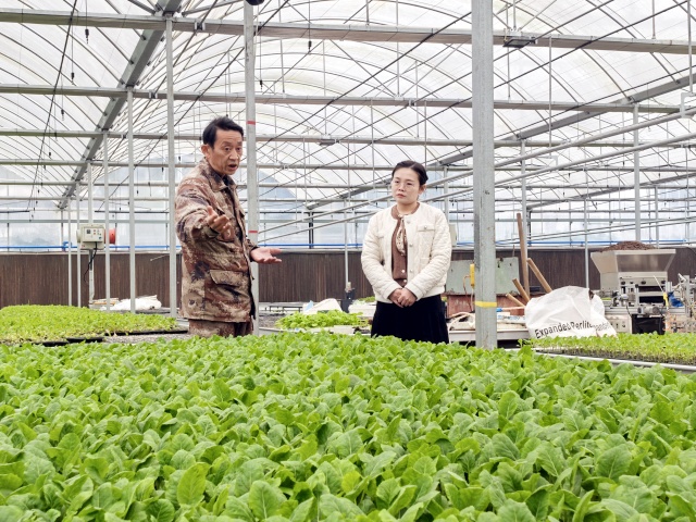 刘念介绍育苗基地情况_副本.jpg