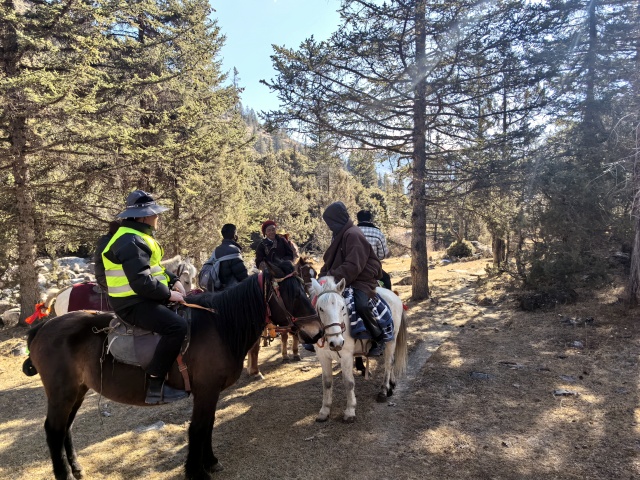 图为骑马巡山防山火_副本.jpg
