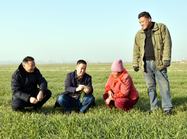 DSC_0887_副本.jpg