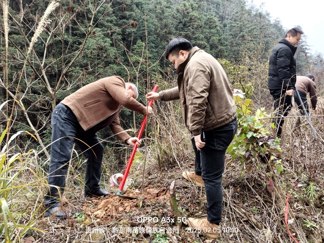 图为干部职工开展义务植树活动，拍摄者，吴孝威_副本.jpg