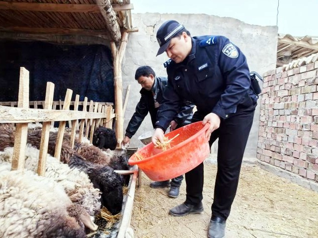 图片2_副本.jpg