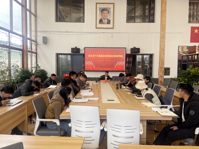 图为禾尼乡村集体经济发展分析会_副本.jpg
