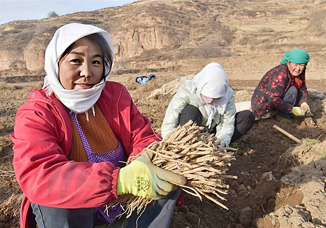 IMG_20250228_144153_副本.jpg
