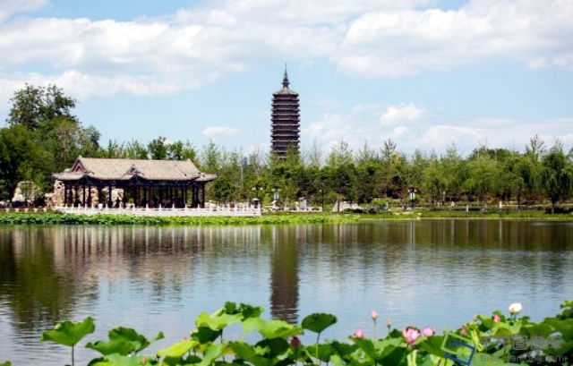 图片1_副本.jpg