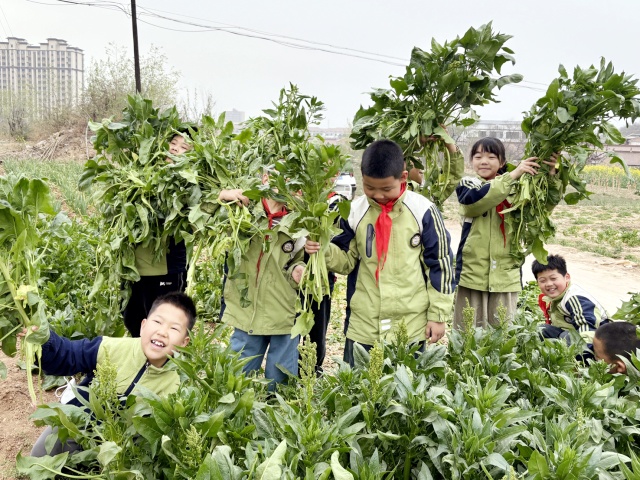 微信图片_20250411201422_副本.jpg