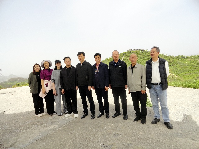 C6.jpg