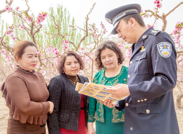 图片1_副本.jpg