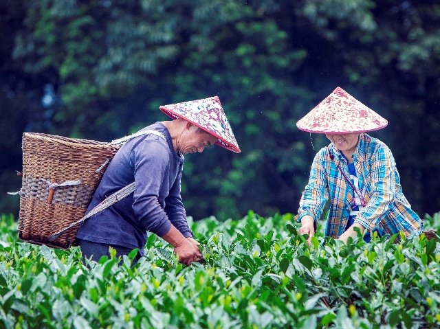   9家新茶饮共建新茶饮公益基金助力必威betway官网